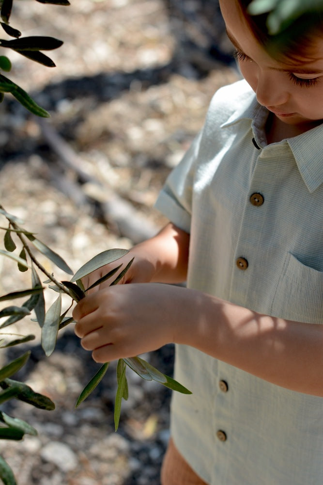 法國 Eli & Nev Clement 短袖條紋襯衫 2-3Y  (最後一件)