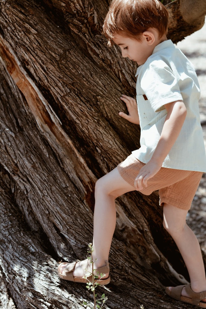 法國 Eli & Nev Clement 短袖條紋襯衫 2-3Y  (最後一件)