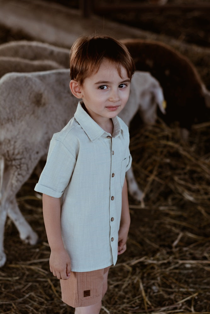 法國 Eli & Nev Clement 短袖條紋襯衫 2-3Y  (最後一件)