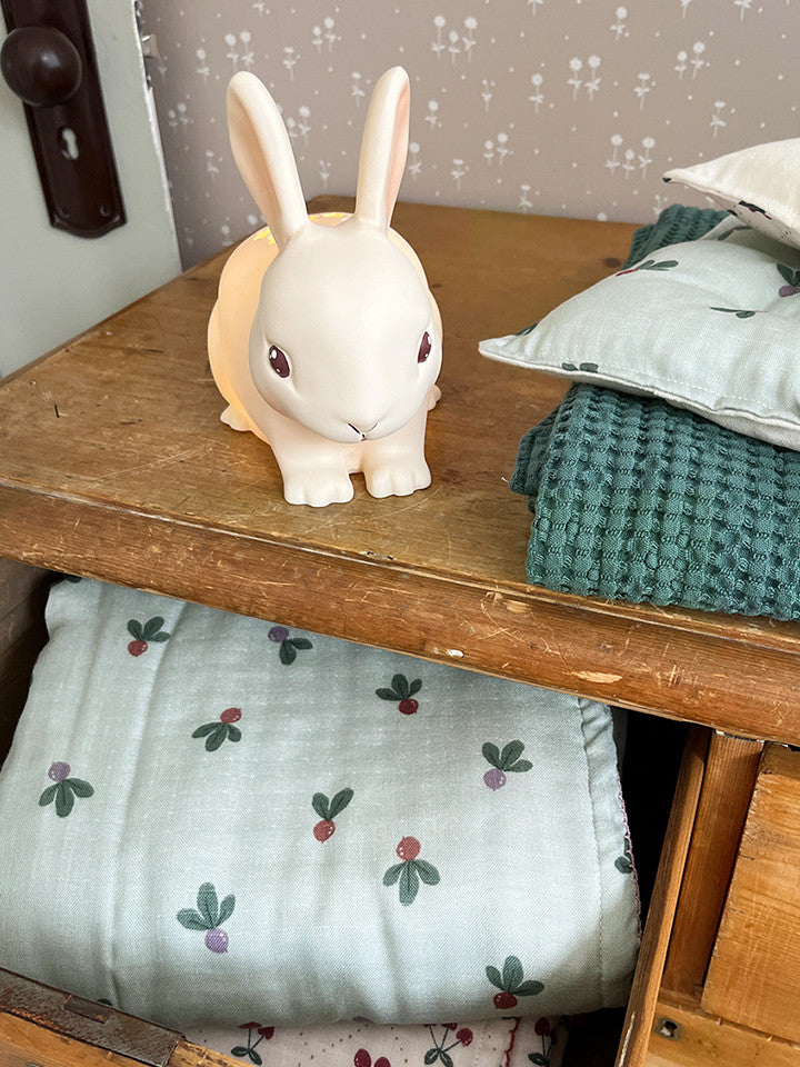 (預購商品) Creme enfant 棉 x 莫代爾枕頭＋萬用毯尊榮禮盒組 - Moos
